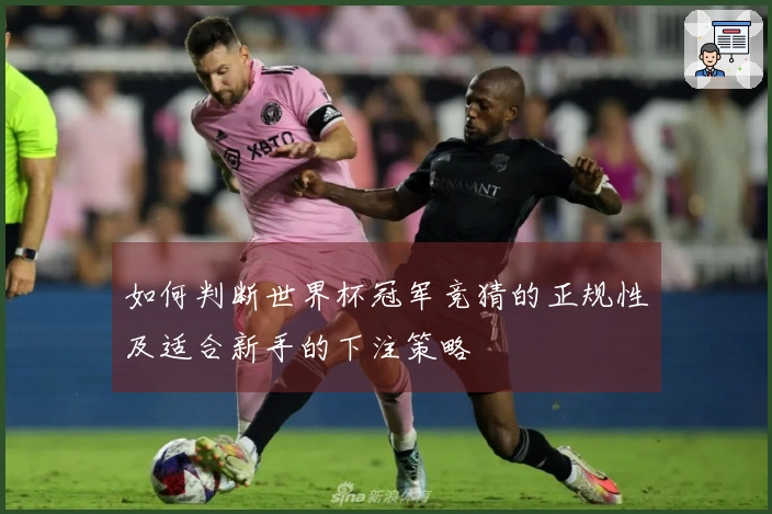 如何判断世界杯冠军竞猜的正规性及适合新手的下注策略